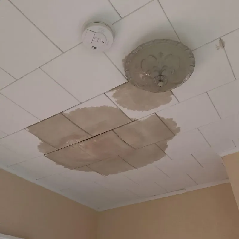 Ceiling Water Damage Repair in Humboldt County, IA